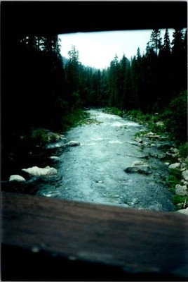 View from car window of a river flowing & tree landscape Found Photo V2428