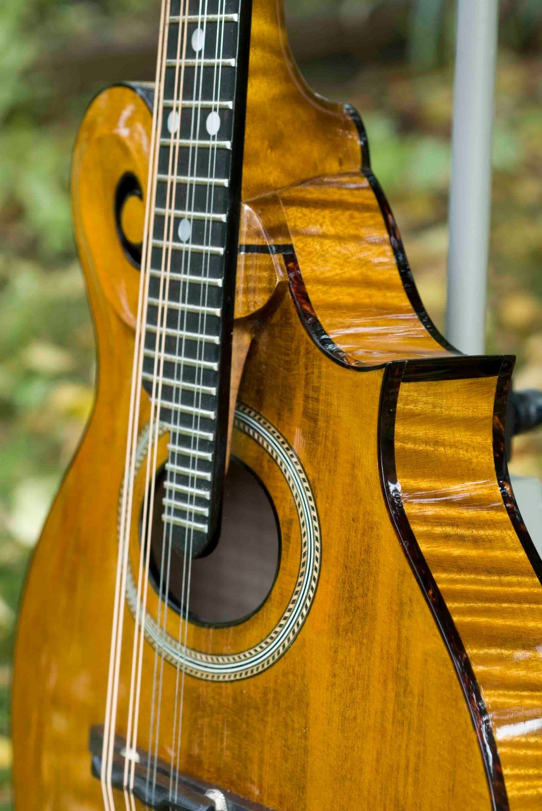 Weber Mandolin - Custom Vintage 