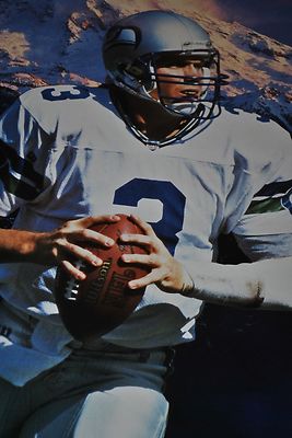 VINTAGE # 4365 POSTER RICK MIRER SEATTLE SEAHAWKS NATURAL WONDER