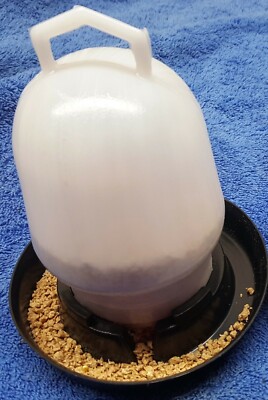 Chick Starter Kit; Waterer, Feeder, OR 2lbs Medicated Chick Food - Baby Chicks