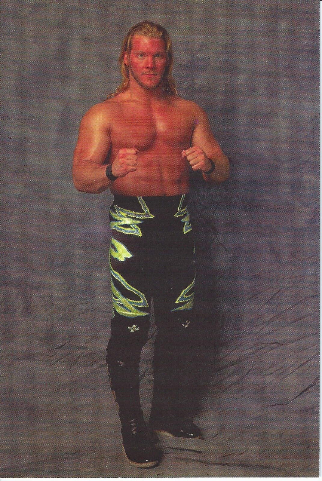 Chris Jericho 1998 Panini WCW NWO Superstars Photocards