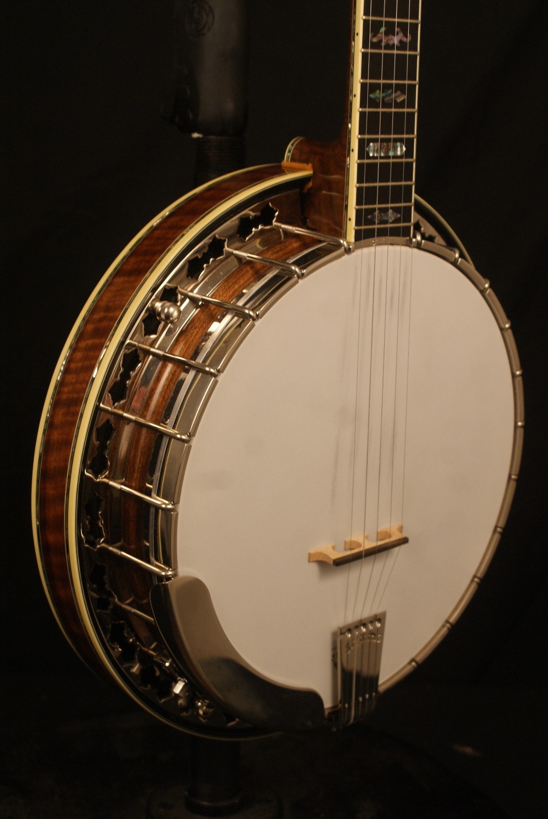 1999 Stelling Staghorn 5 string Banjo Near Mint w original brochure +Hard Case