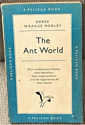 Derek Wragge Morley / THE ANT WORLD 1st Edition 1953