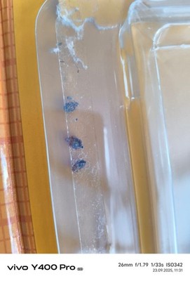 Item photo(s) from verified buyer