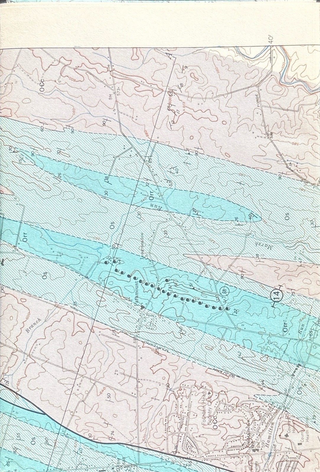 Beekmantown Group (Lower Ordovician) of Maryland — image 3