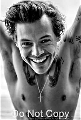 Harry Styles Poster Show Concert Tour, 12''x18''  Band