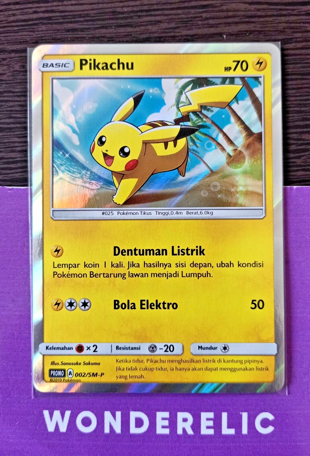Pikachu 002/SM-P Promo Holo Pokemon Card Game Indonesia Tcg
