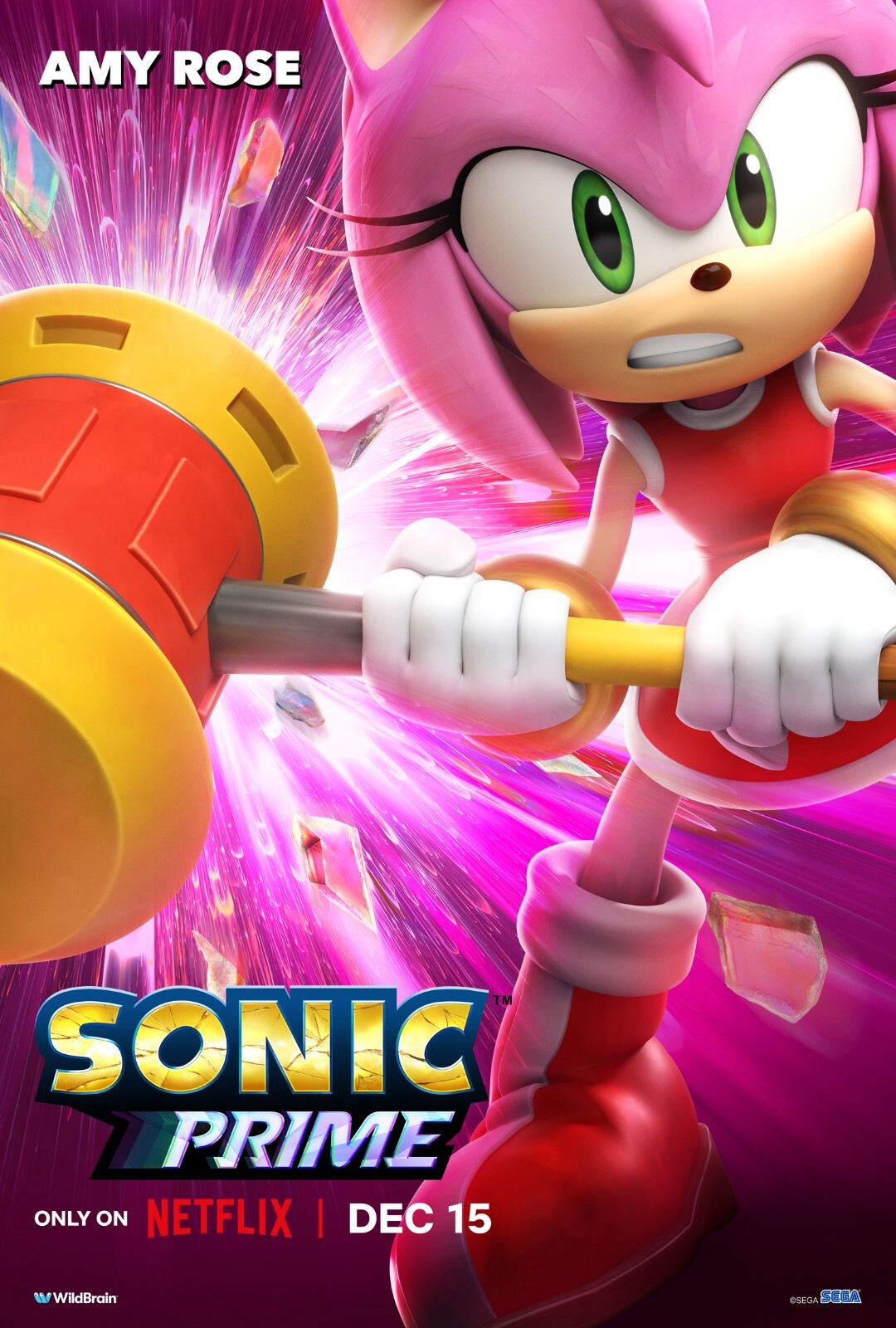 Sonic The Hedgehog poster print (Amy Rose) : 11
