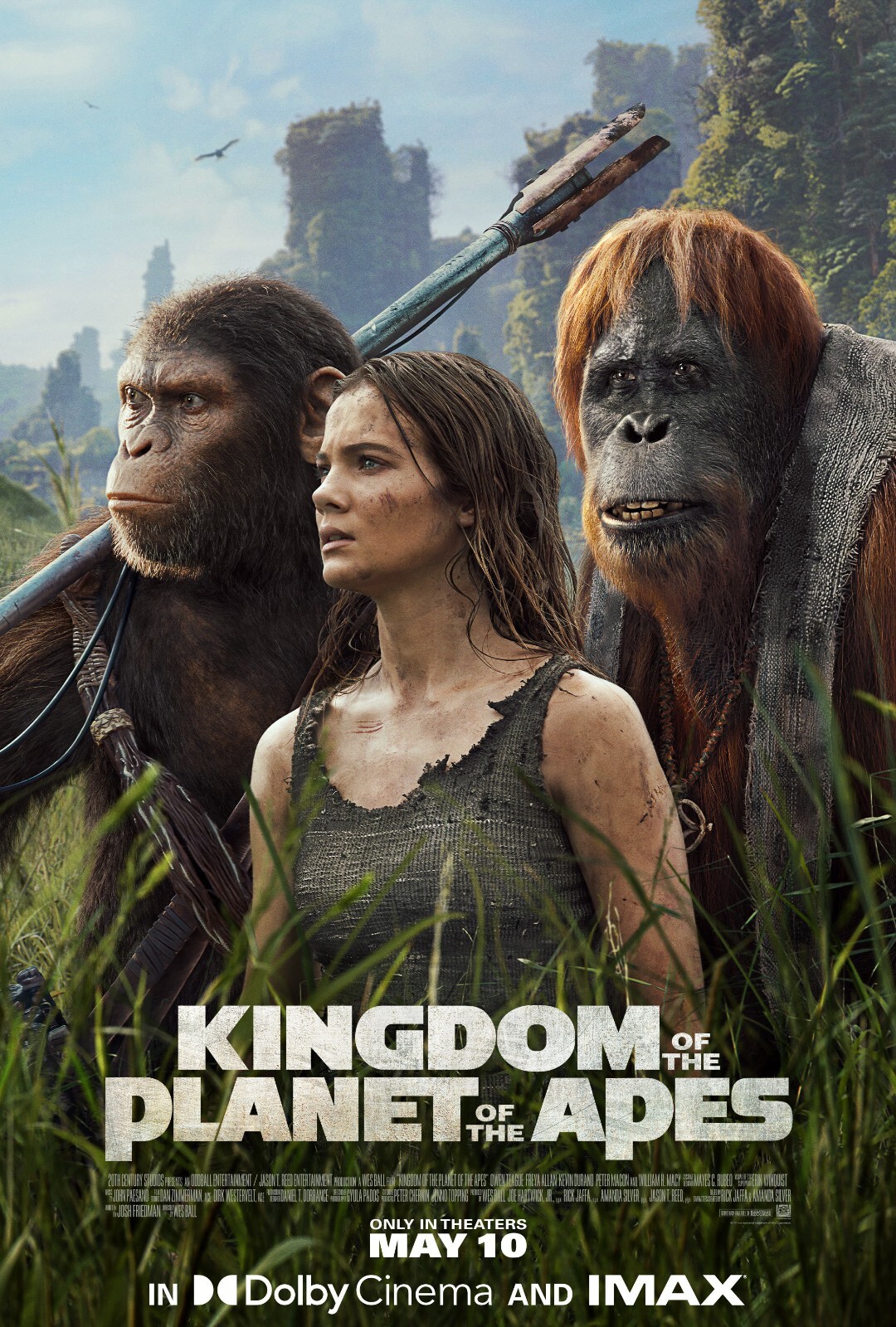 猿の惑星planet of the apes movie poster Kingdom Of The Planet of The Apes movie poster (f) - 11 x 17