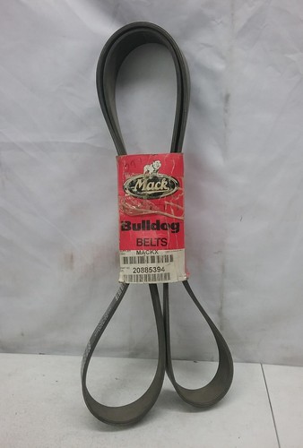 ぐーぱーんさま MACK BULLDOG SERPENTINE BELT, V-RIBBED #20885394 | eBay