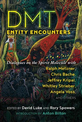 NEW BOOK DMT Entity Encounters - Dialogues on the Spirit Molecule with Ralph Met