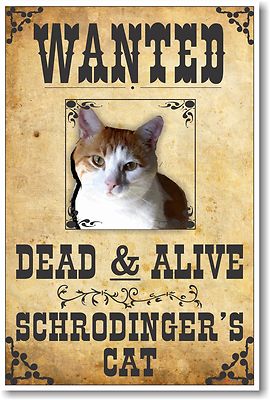 【CAT】　vintage poster Cat Vintage' Poster, picture, metal print, paint by