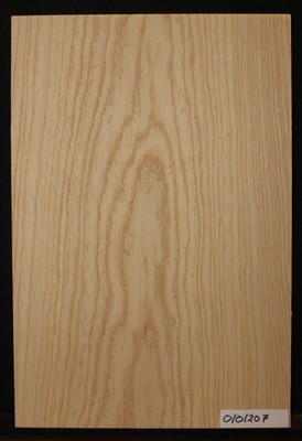 Swamp Ash Body Blank 1 piece for bass and guitar