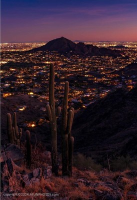 Phoenix at night Poster sized Photo Print Wall Art 13'' x 19''