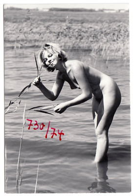 nudismus  Nudismus NACKTES STRANDLEBEN / AT NUDE BEACH * 60s STEGE Musterfoto /  VintageのeBay公認海外通販｜セカイモン
