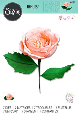 Sizzix Thinlits 7pc set Garden Rose #666120 Retail $36.99 by J. Slack REALISTIC!
