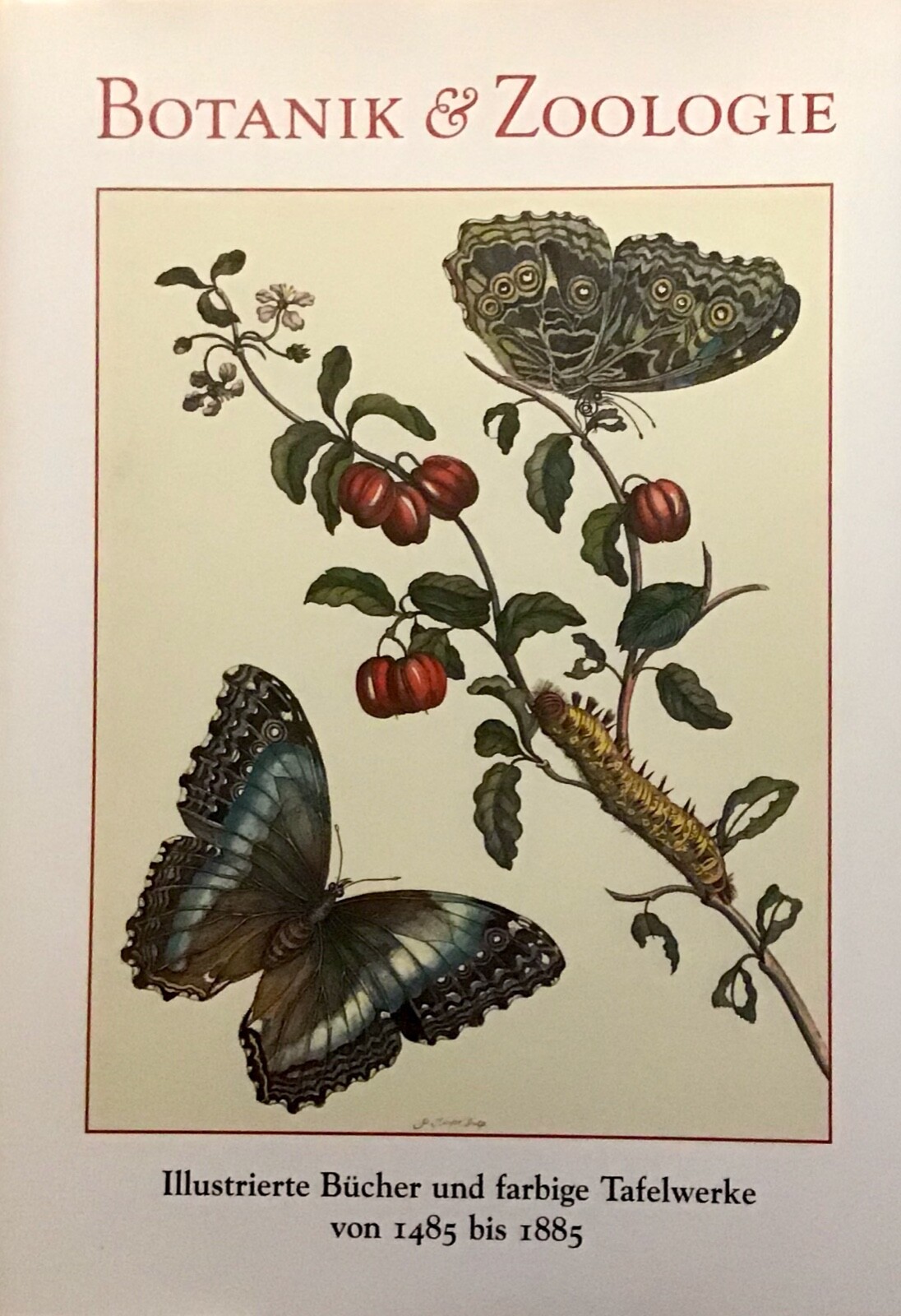 Botanik & Zoologie - Illustrierte Bücher und farbige Tafelwerke, Tenschert
