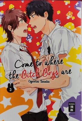 Come to where the Bitch Boys are 03 von Ogeretsu Tanaka (2019, Taschenbuch)