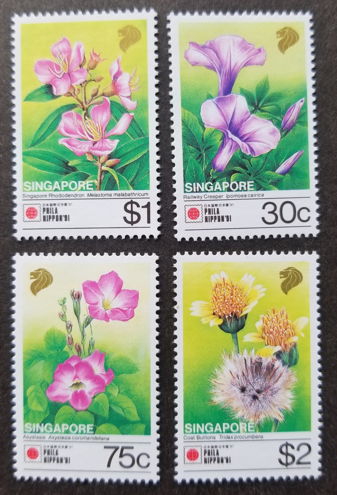 OEP トランスブースター Elephants found Flowers OEP トランスブースター Elephants found Flowers