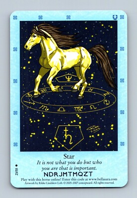 Bella Sara CCG - Star 23/55 - 2007 Northern Lights