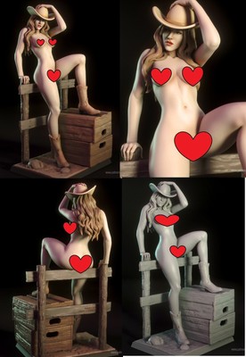 Pam Cowgirl 3d printed 12k Figure resin model kit UNPAINTED UNASSEMBLED torrida