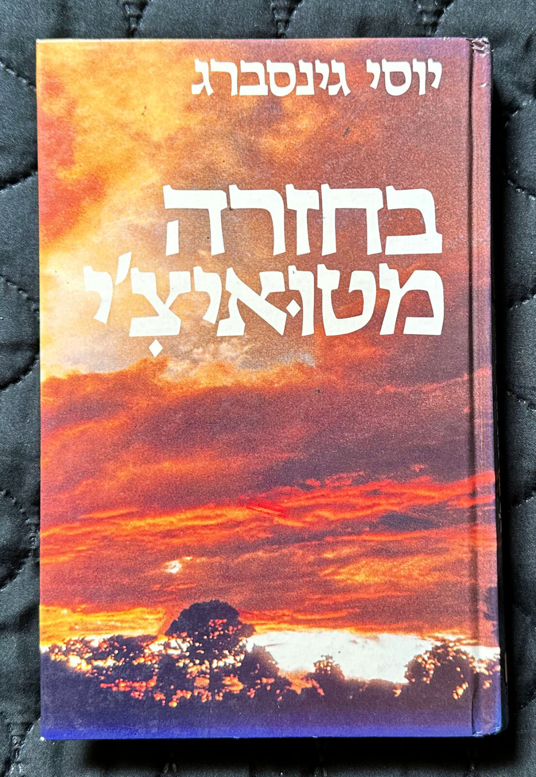 洋書 Lost Survivors of the Deluge by Hassler 洋書 Lost Survivors of the Deluge by Hassler 洋書 Lost