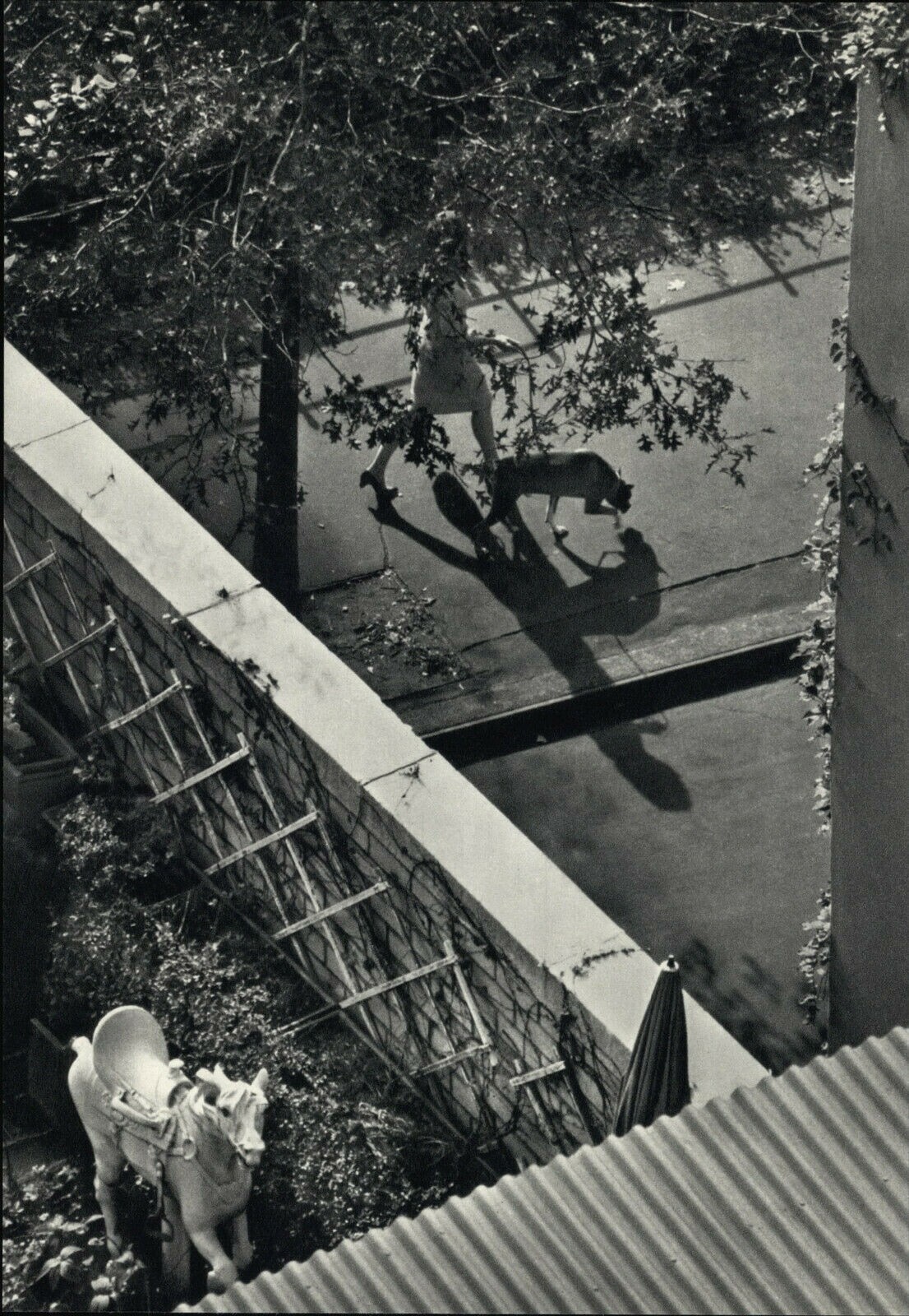 1962 1972 Andre Kertesz The White Horse Secret Garden Art