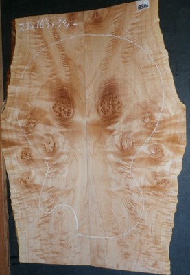 Birdseye Maple Burl Wood 8586 Luthier Solid Body Guitar Lumber 23 x 16.5 x .750