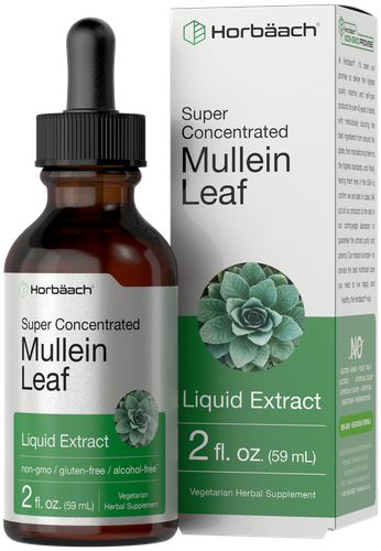 Mullein Leaf Liquid Extract | 2 fl oz | Alcohol Free, Vegetarian | by Horbaach