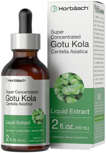Gotu Kola Liquid Extract | 2 fl oz | Alcohol Free | Vegetarian | by Horbaach