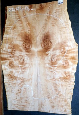 Birdseye Maple Burl Wood 8586 Luthier Solid Body Guitar Lumber 23 x 16.5 x .750