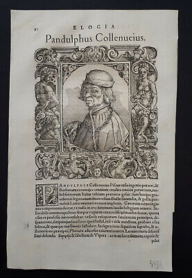 Paolo Giovio 1577: Pandolfo  Collenuccio  (Pesaro)