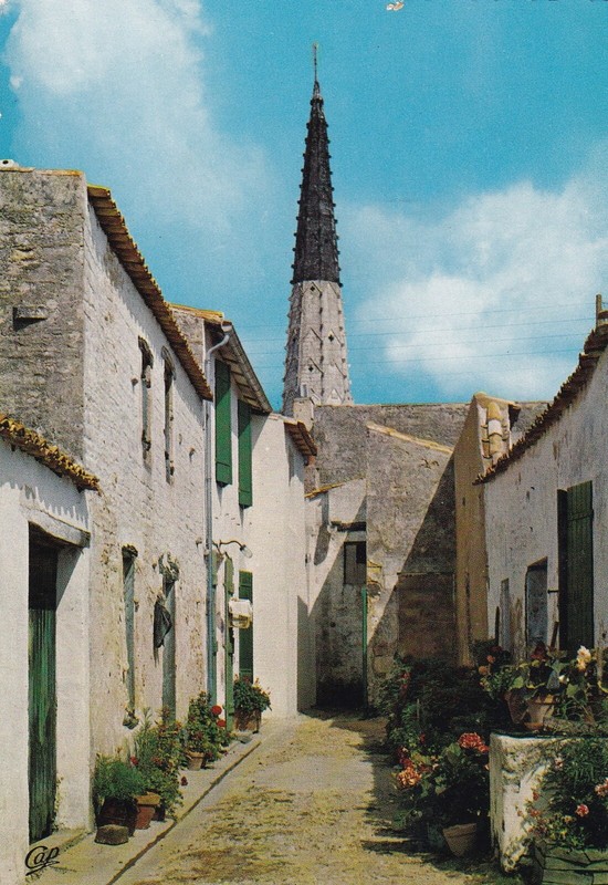 43499 Cpsm 17 Ars En RÃ© - Ruelle Fleurie