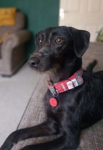 Artikelfoto(s) von einem verifizierten Käufer