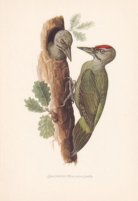 Picture 4