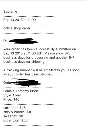 Supreme Male AND Female Anatomy Set Model Brand New *Confirmed Order*