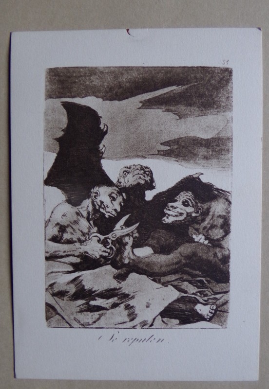 Th1003b) Cp Postcard MusÃ©E Goya Castres Caprice 51 - Se Repulen