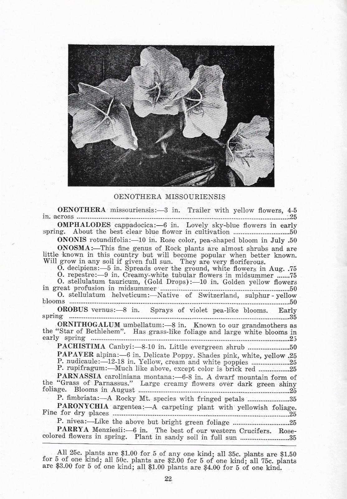 1940 Vintage Catalogue and Price List . .   Mitchell Nurseries .  Barre, Vermont