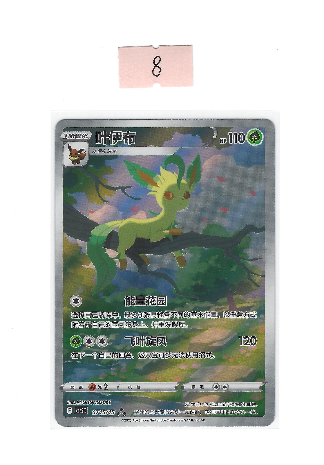 ポケモンシリーズ 2本セット Amazon.co.jp: MEGA ポケモン メガコンストラックス クワッド