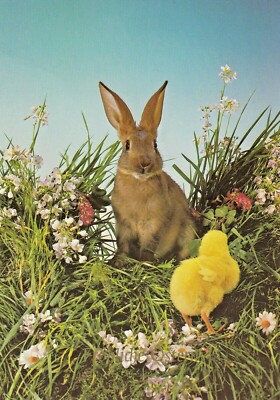 Postcard CHROME EASTER  BROWN RABBIT AND YELLOW CHICK  1987 UNPOSTED CHROME