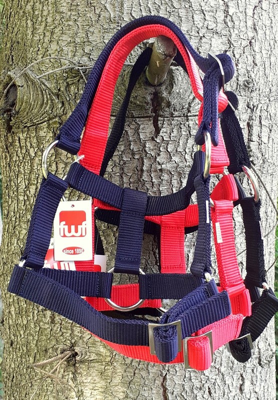 Halfter Mini-Fohlen Gurthalfter Stabil, Rot Blau GrÃ¼N Schwarz Verstellbar  *Neu*
