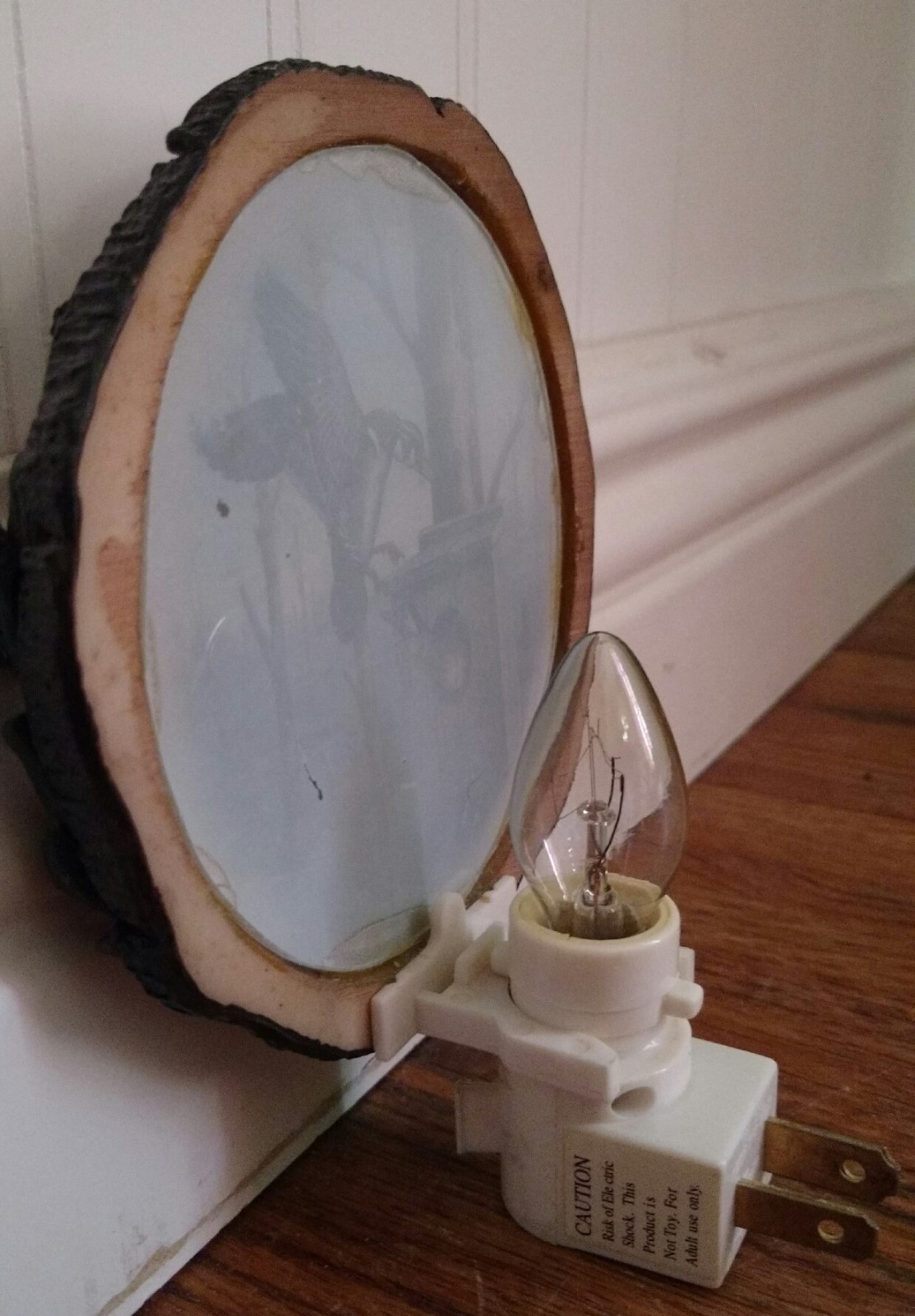 Picture of Geese in Logframe Night Light