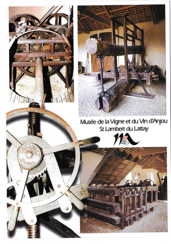 Carte Postale Saint Lambert De Lattay  (49) MusÃE Du Vin, Carte Vierge