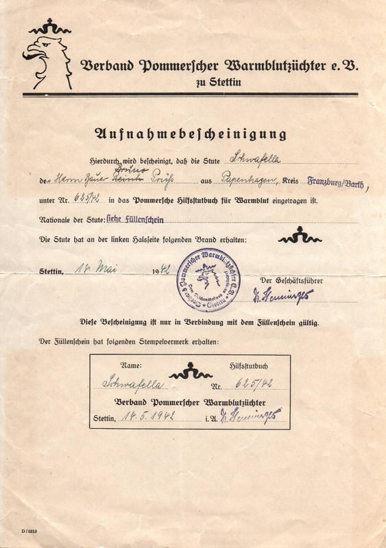 Aufnahme Bescheinigung Verband Pommerscher WarmblÃ¼Ter Stettin Pferde 1942