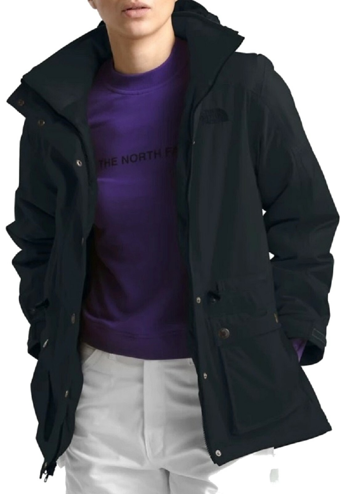 the north face reign on jacket