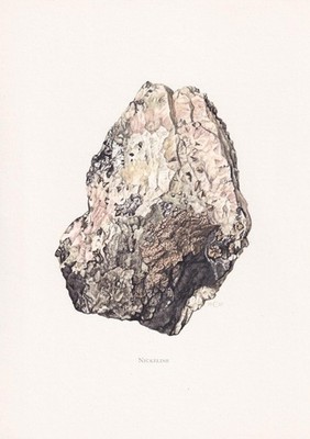 1968 NICKELINE (NICCOLITE) Print - Mineral Wall Art Gift - 7.5 x 10.6 Inches