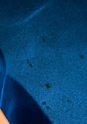 Fotos del artículo de un comprador verificado