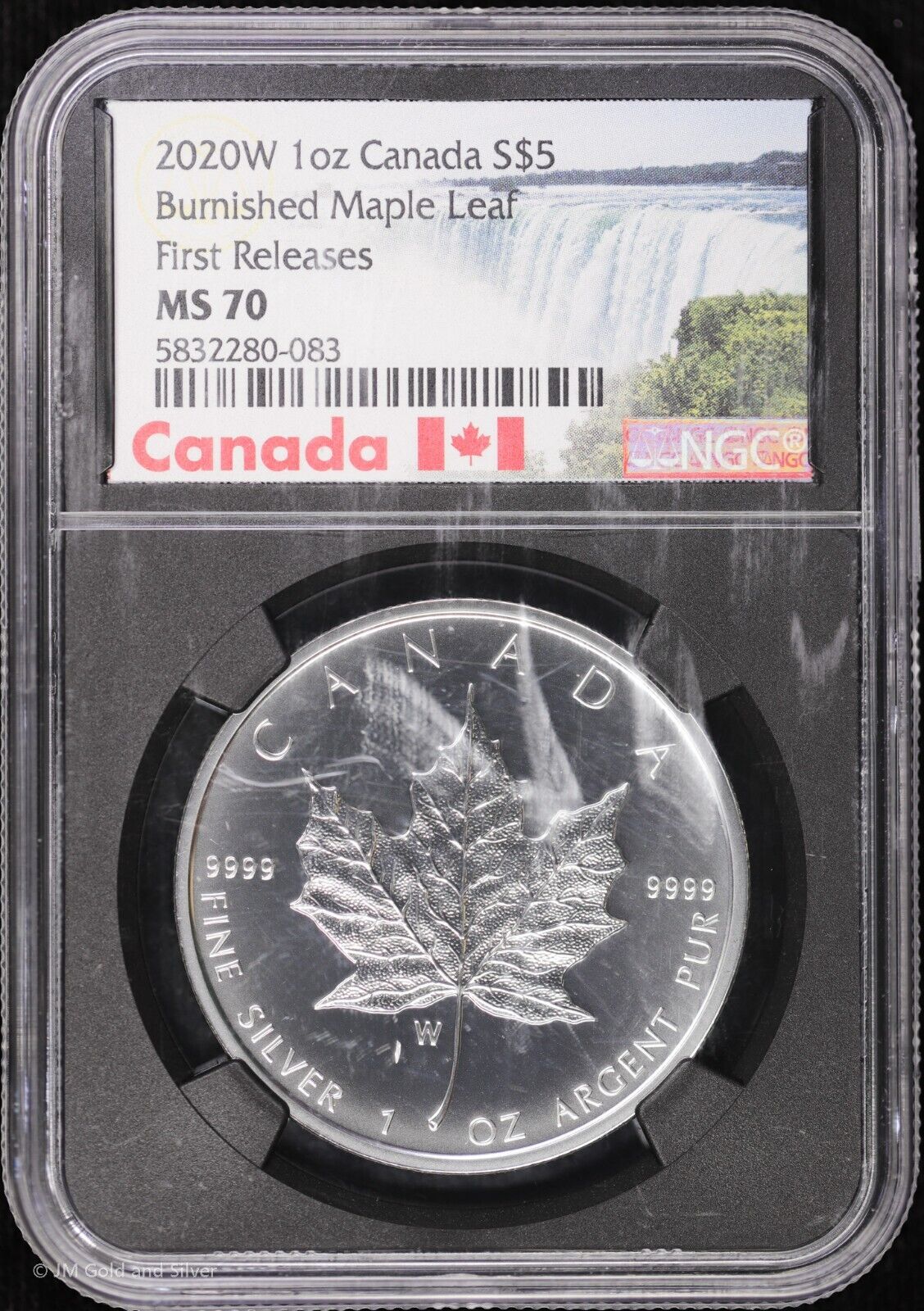 2020 W Canada 1 oz Silver Burnished Maple Leaf NGC MS70 2020 W Canada 1 oz Silver Burnished Maple Leaf NGC MS70