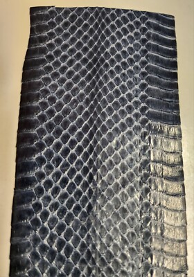 Cobra Snake Skin Remnants 0037