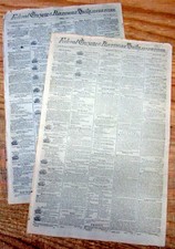 Yellow fever essay 02 image